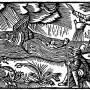 olaus_magnus_-_on_women_skilled_in_magic.jpg