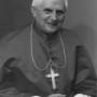 thecardinal.jpg